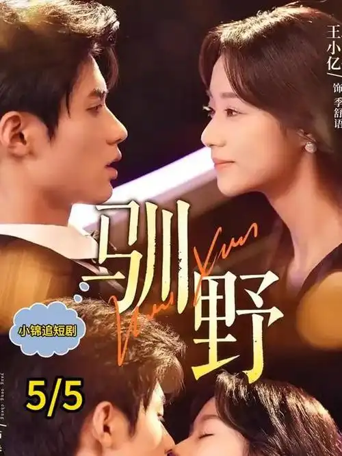山河课堂 完结剧集推荐